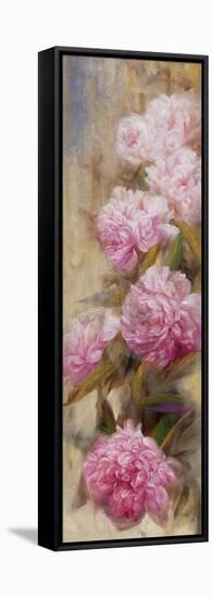 Peonies II-li bo-Framed Stretched Canvas