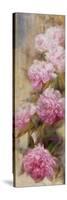 Peonies II-li bo-Stretched Canvas