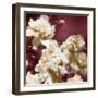 Peonies II-Shawna Sullivan-Framed Art Print