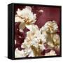 Peonies II-Shawna Sullivan-Framed Stretched Canvas