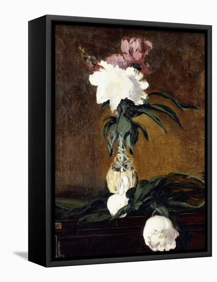 Peonies in a Bottle, 1864-Edouard Manet-Framed Stretched Canvas