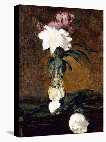 Peonies in a Bottle, 1864-Edouard Manet-Stretched Canvas