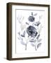 Peonies in Grey II-Jennifer Goldberger-Framed Art Print