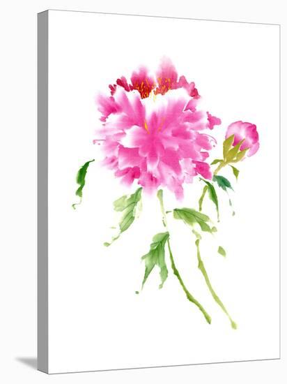 Peonies in Pink I-Nan Rae-Stretched Canvas