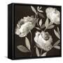 Peonies on Ebony-Asia Jensen-Framed Stretched Canvas