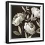 Peonies on Ebony-Asia Jensen-Framed Art Print