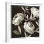 Peonies on Ebony-Asia Jensen-Framed Art Print