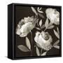 Peonies on Ebony-Asia Jensen-Framed Stretched Canvas