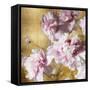 Peonies on Gold II-Shawna Sullivan-Framed Stretched Canvas