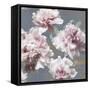 Peonies on Gray & Gold I-Shawna Sullivan-Framed Stretched Canvas