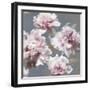 Peonies on Gray & Gold I-Shawna Sullivan-Framed Art Print