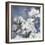 Peonies on Indigo II-Shawna Sullivan-Framed Art Print