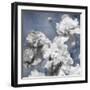 Peonies on Indigo II-Shawna Sullivan-Framed Art Print