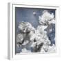 Peonies on Indigo II-Shawna Sullivan-Framed Art Print