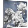 Peonies on Indigo II-Shawna Sullivan-Mounted Art Print