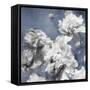 Peonies on Indigo II-Shawna Sullivan-Framed Stretched Canvas