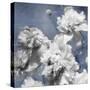 Peonies on Indigo II-Shawna Sullivan-Stretched Canvas