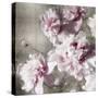 Peonies on Silver II-Shawna Sullivan-Stretched Canvas