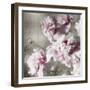 Peonies on Silver II-Shawna Sullivan-Framed Art Print