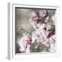 Peonies on Silver II-Shawna Sullivan-Framed Art Print