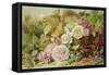 Peonies, Roses and Hollyhocks, 1862-Mary Elizabeth Duffield-Framed Stretched Canvas