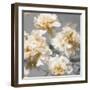 Peonies Yellow I-Shawna Sullivan-Framed Art Print