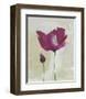 Peonies-Lucile Prache-Framed Art Print