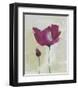 Peonies-Lucile Prache-Framed Art Print