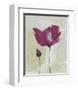 Peonies-Lucile Prache-Framed Art Print