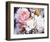 Peonies-David Maddern-Framed Art Print