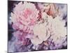 Peonies-David Maddern-Mounted Art Print