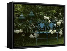 Peonies-null-Framed Stretched Canvas