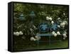 Peonies-null-Framed Stretched Canvas