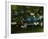 Peonies-null-Framed Photographic Print