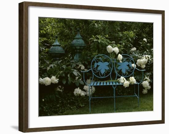 Peonies-null-Framed Photographic Print