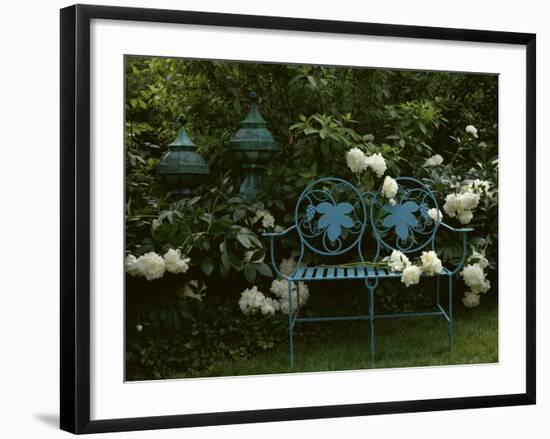 Peonies-null-Framed Photographic Print