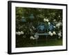 Peonies-null-Framed Photographic Print