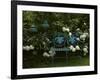 Peonies-null-Framed Photographic Print