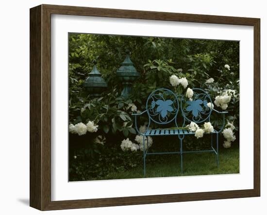 Peonies-null-Framed Photographic Print