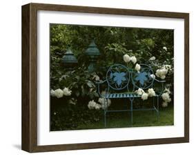 Peonies-null-Framed Photographic Print