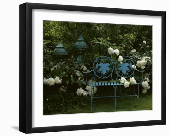Peonies-null-Framed Photographic Print