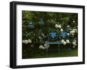 Peonies-null-Framed Photographic Print