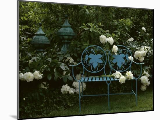 Peonies-null-Mounted Photographic Print