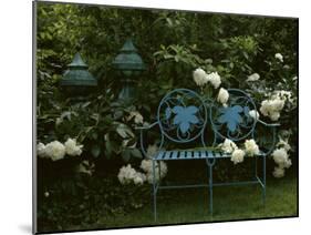 Peonies-null-Mounted Photographic Print