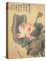 Peonies-Yun Shouping-Stretched Canvas