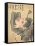 Peonies-Yun Shouping-Framed Stretched Canvas