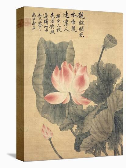 Peonies-Yun Shouping-Stretched Canvas