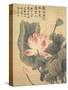 Peonies-Yun Shouping-Stretched Canvas
