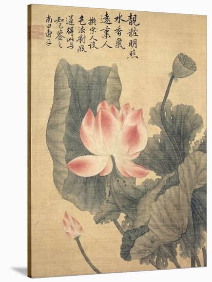 Peonies-Yun Shouping-Stretched Canvas