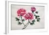 Peonies-Surovtseva-Framed Art Print